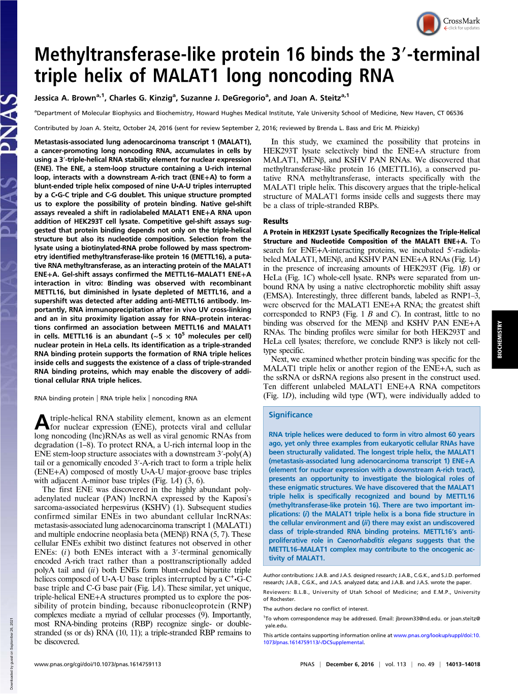 Terminal Triple Helix of MALAT1 Long Noncoding RNA