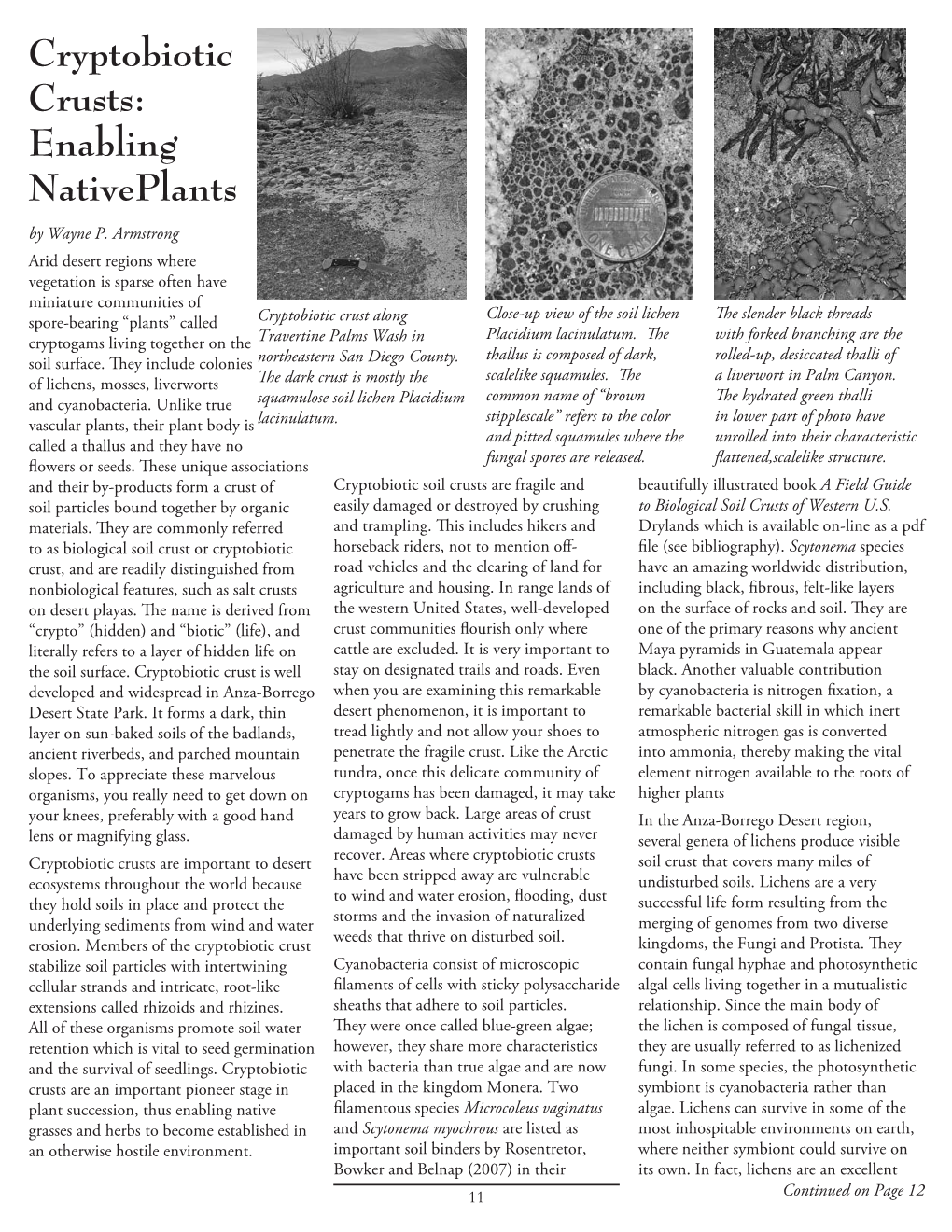 Cryptobiotic Crusts: Enabling Nativeplants by Wayne P