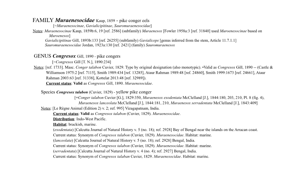 Pike Conger Eels [=Muraenesocinae, Gavialicipitinae, Sauromuraenesocidae] Notes: Muraenesocinae Kaup, 1859B:6, 19 [Ref