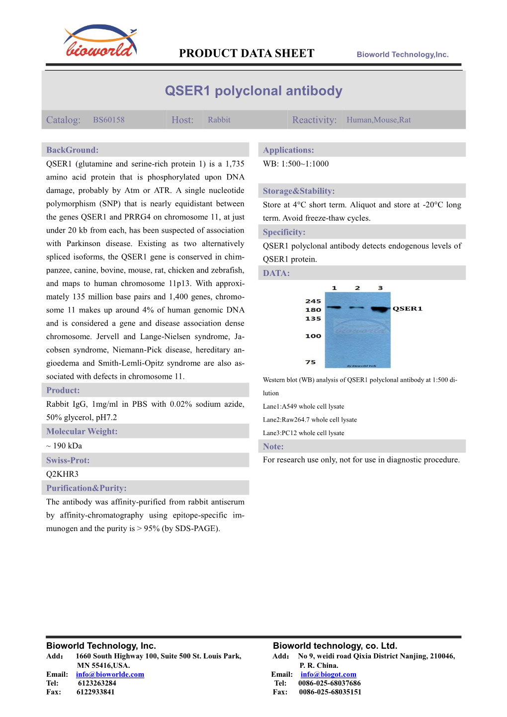 QSER1 Polyclonal Antibody