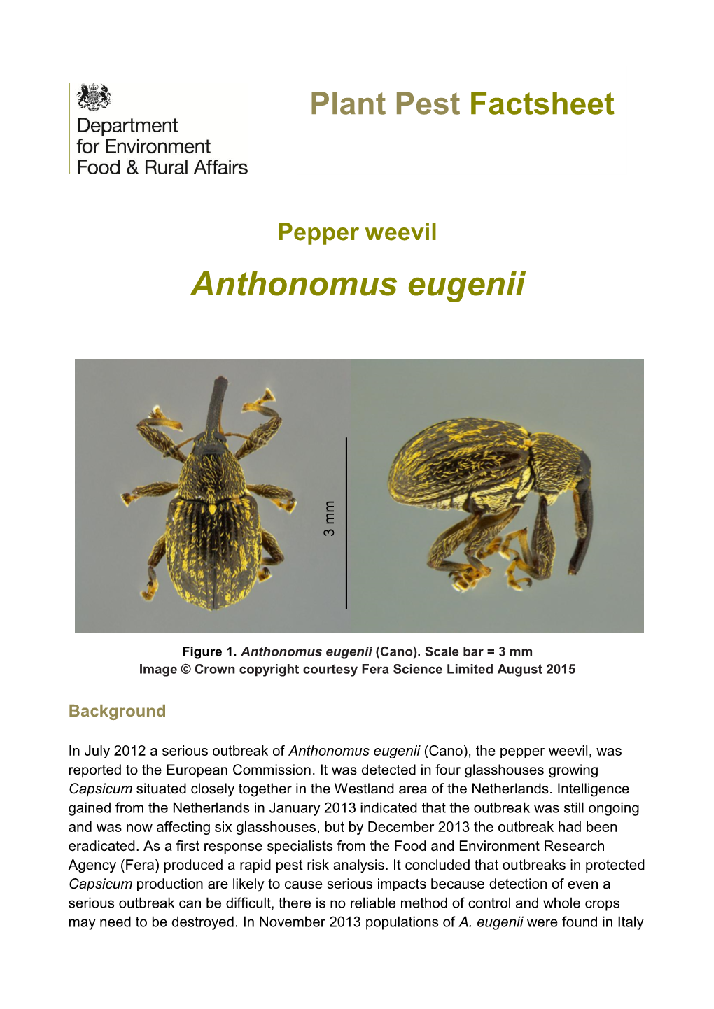 Anthonomus Eugenii Pepper Weevil Published: 2016 PDF (368