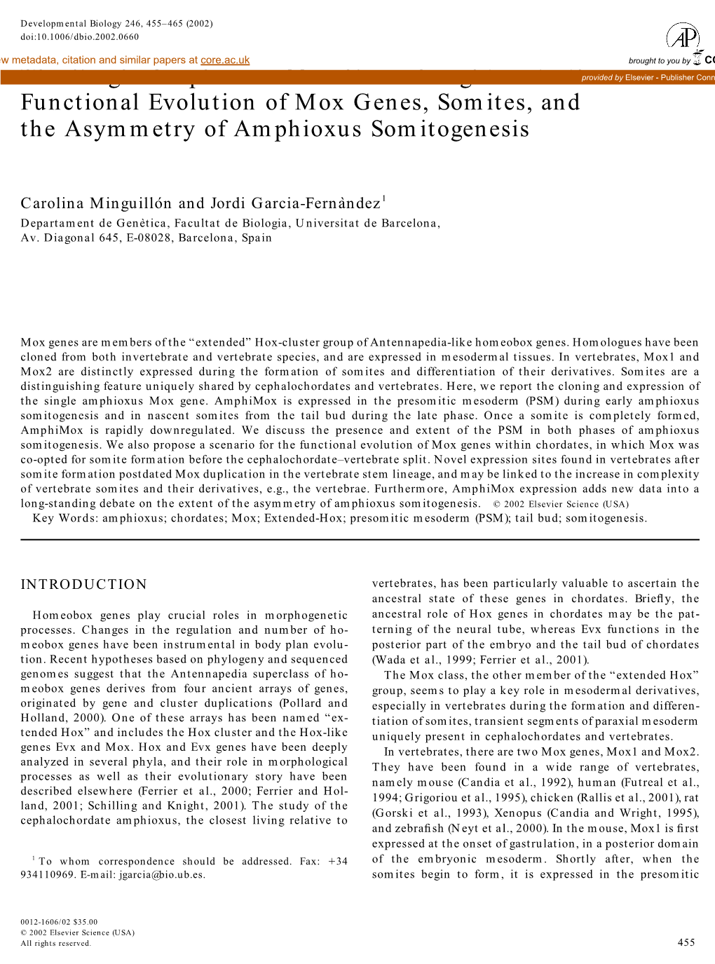 The Single Amphioxus Mox Gene