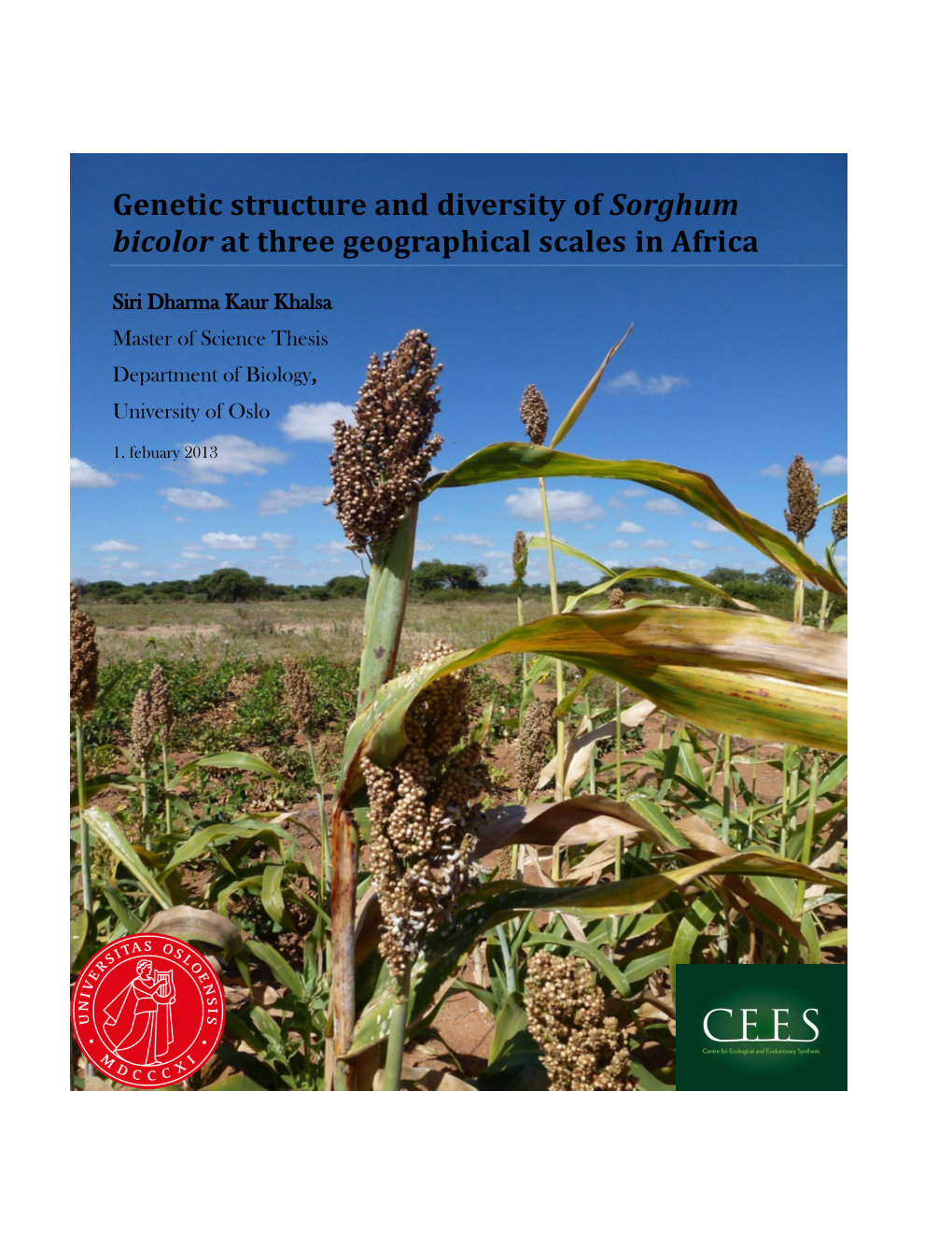 Genetic Structure and Diversity of Sorghum Bicolor at Three Geographical Scales in Africa