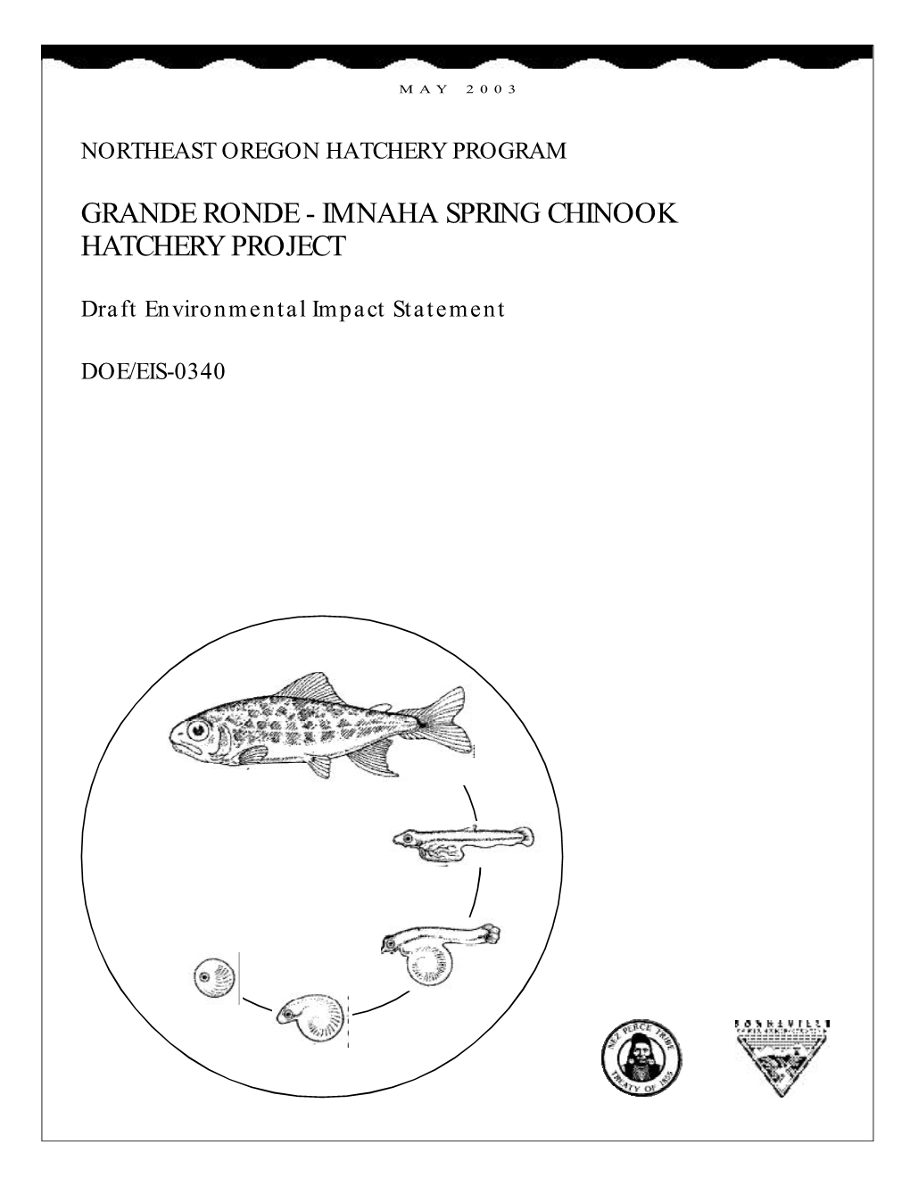 DOE/EIS-0340; Grand Ronde – Imnaha Spring Chinook Hatchery