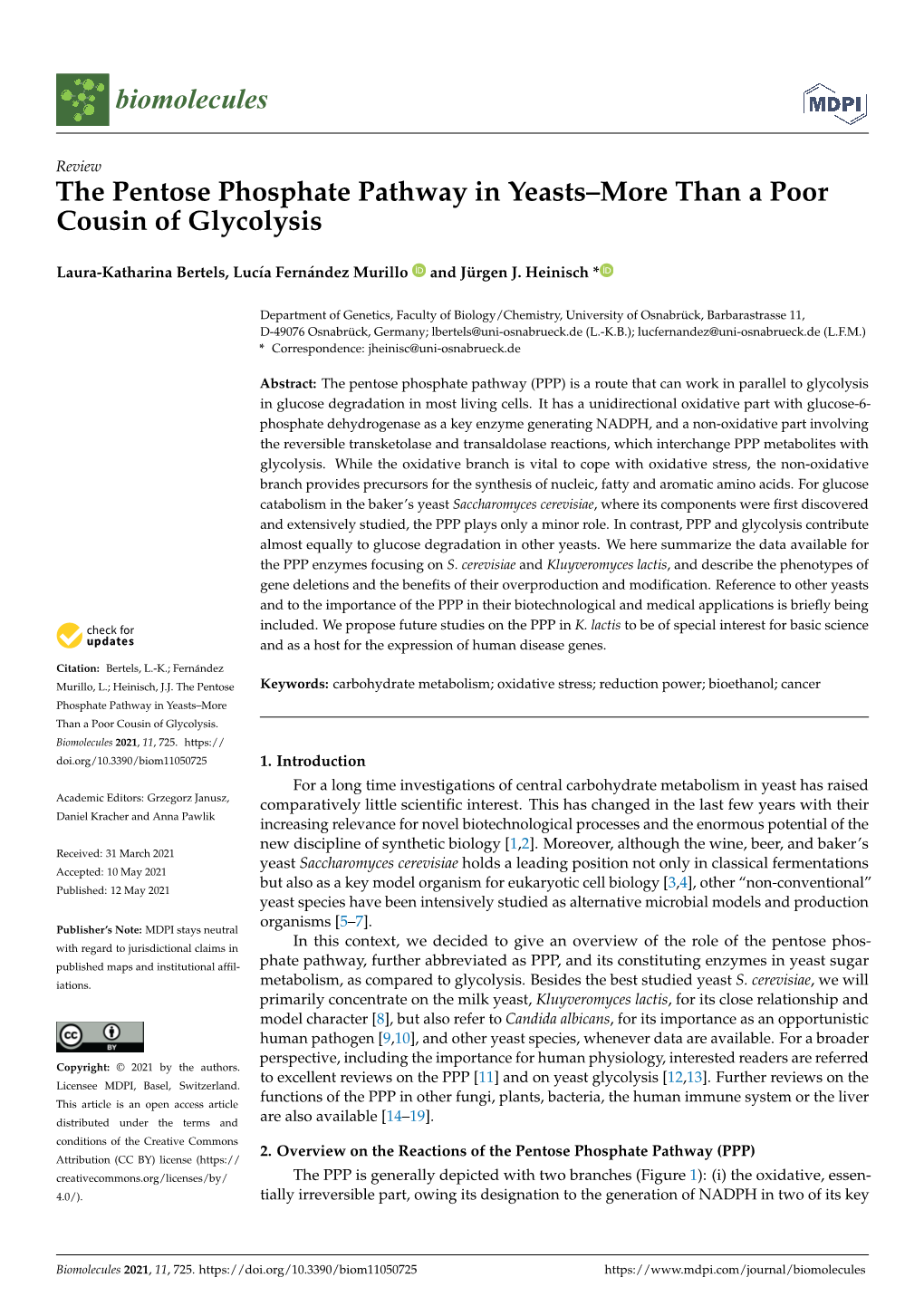 The Pentose Phosphate Pathway in Yeasts–More Than a Poor Cousin of Glycolysis