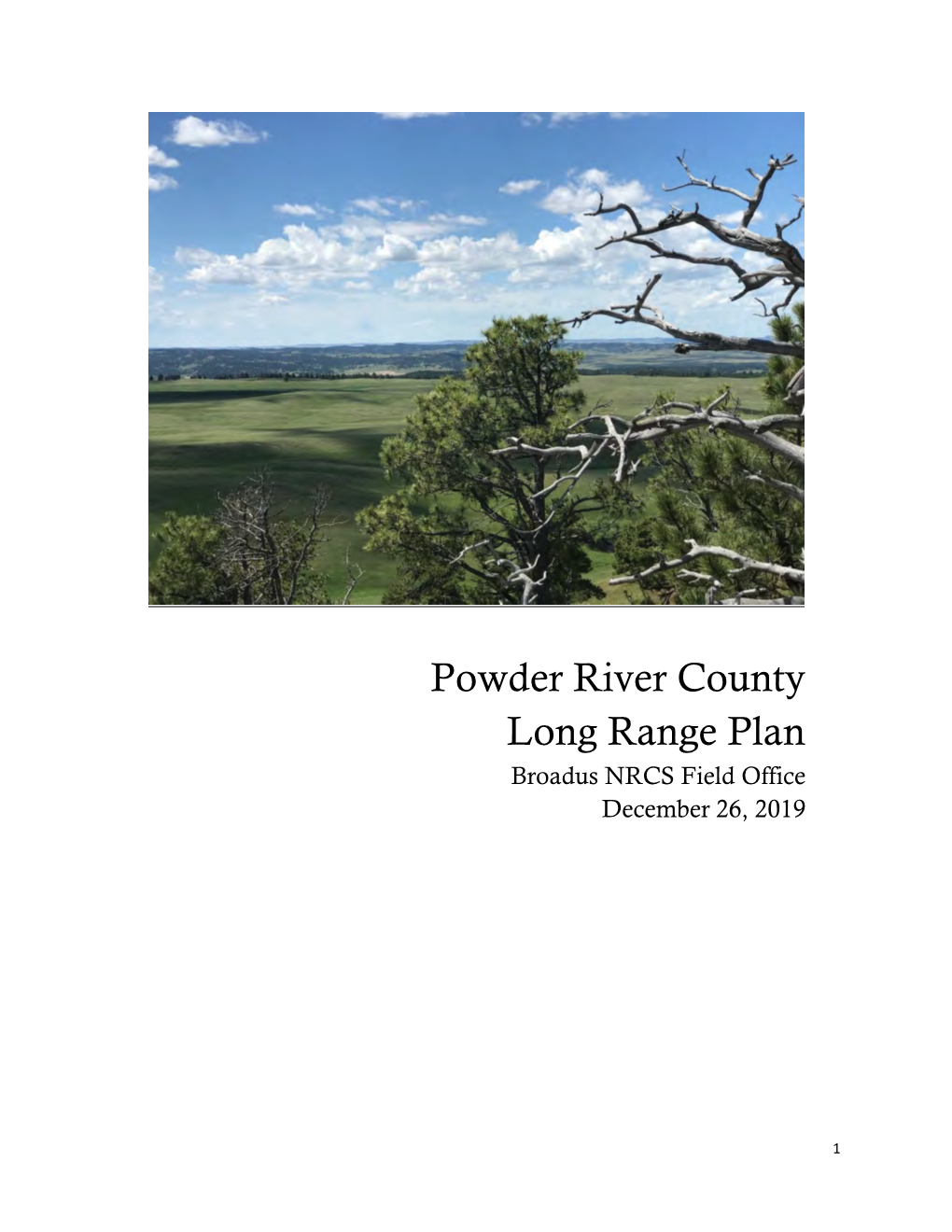 Powder River County Long Range Plan 2019.Docx