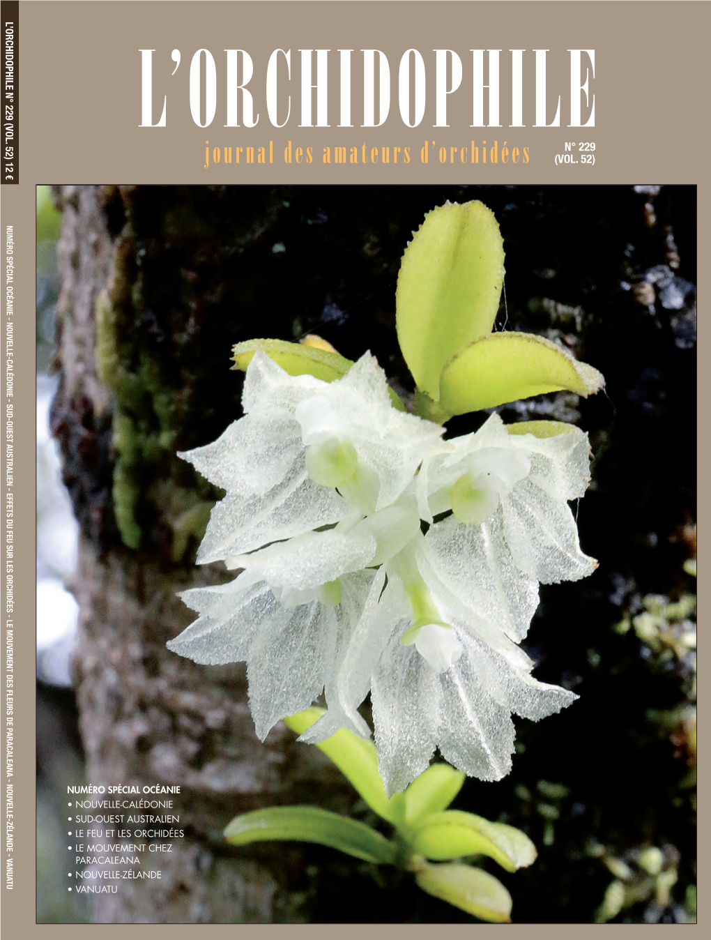 L'orchidophile