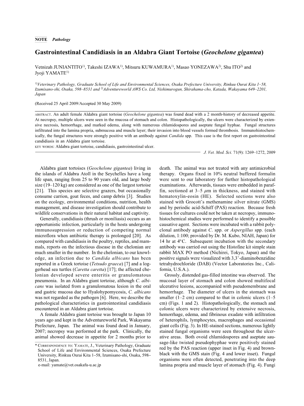 Gastrointestinal Candidiasis in an Aldabra Giant Tortoise (Geochelone Gigantea)