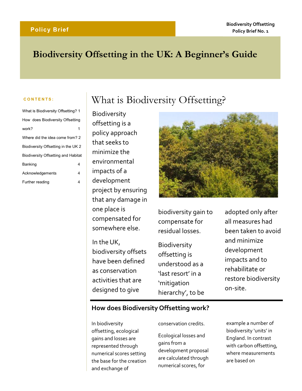 What Is Biodiversity Offsetting?