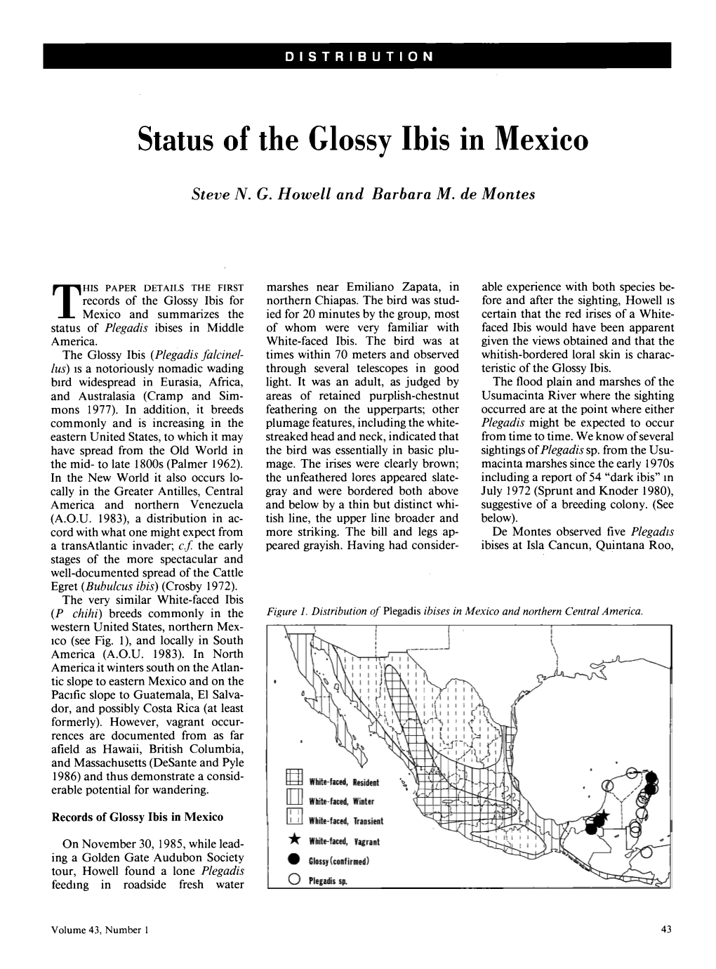 Status of the Glossy Ibis in Mexico