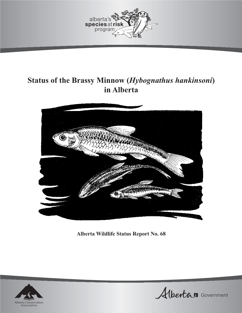 Status of the Brassy Minnow (Hybognathus Hankinsoni) in Alberta