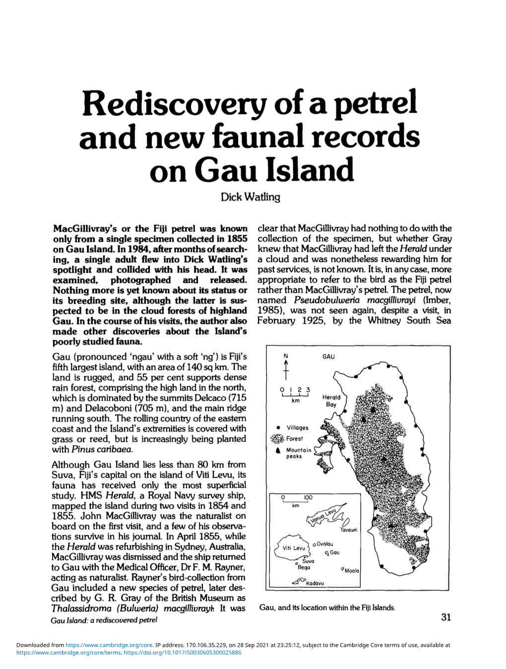 Rediscovery of a Petrel and New Faunal Records on Gau Island Dick Waiting