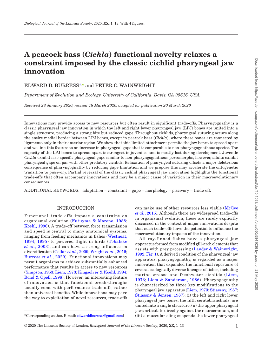 Functional Novelty Relaxes a Constraint Imposed by the Negro River, Amazon, Brazil