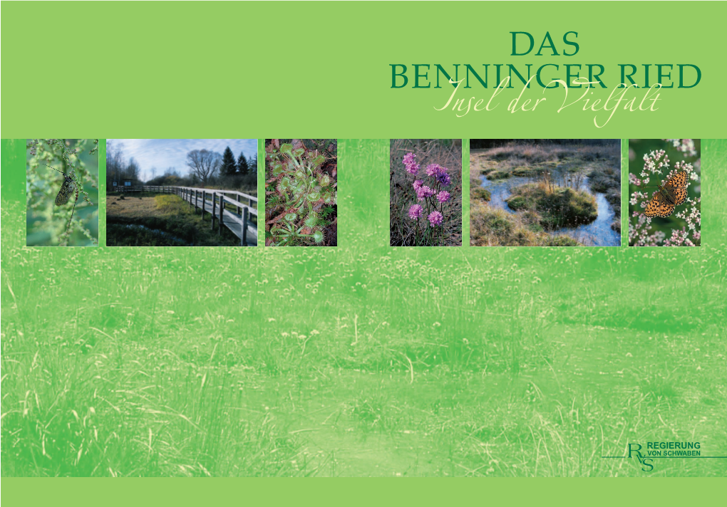 DAS BENNINGER RIED Insel Dervielfalt DAS BENNINGER RIED Insel Dervielfalt