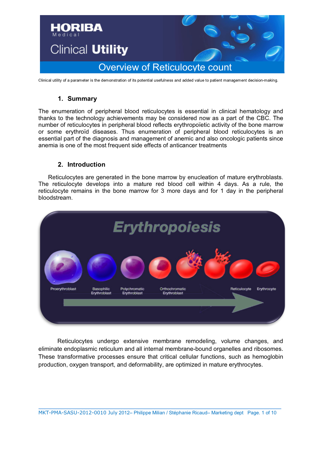 Overview of Reticulocyte Count