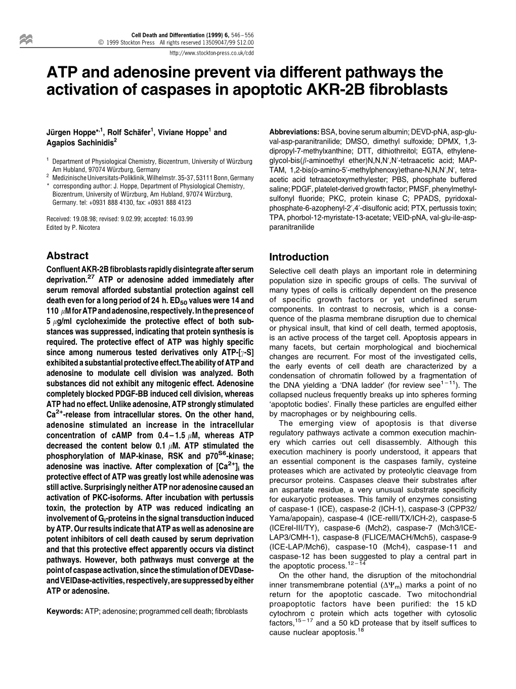 ATP and Adenosine Prevent Via Different Pathways the Activation of Caspases in Apoptotic AKR-2B Fibroblasts