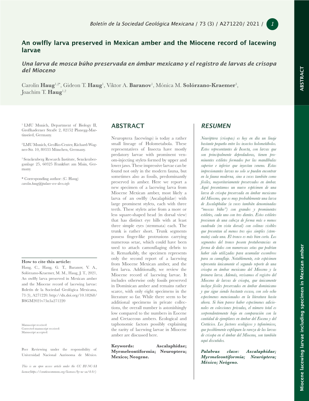 RESUMEN ABSTRACT an Owlfly Larva Preserved in Mexican Amber