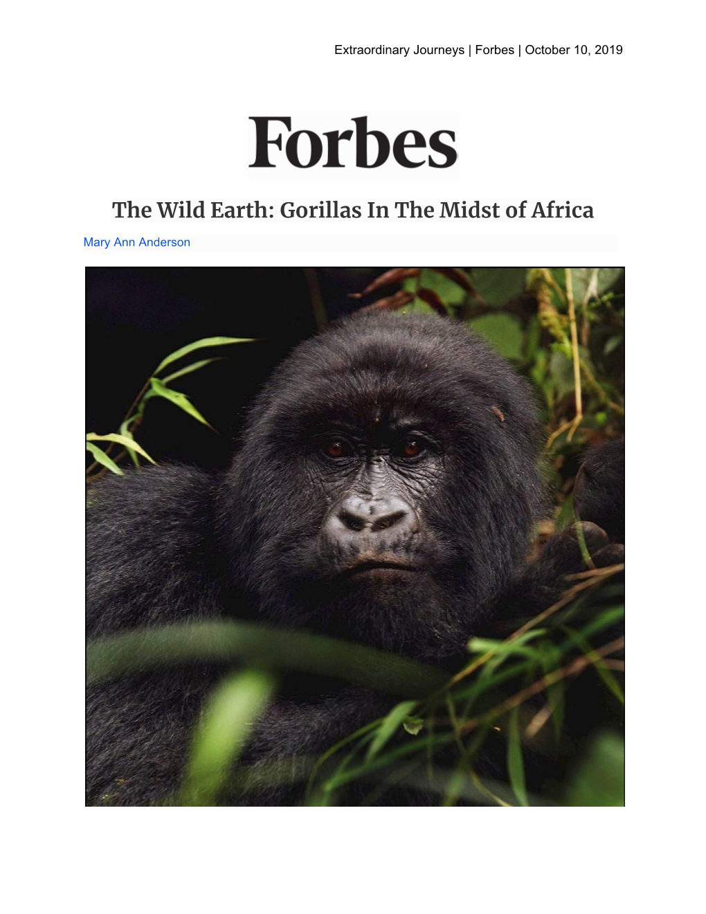 Gorillas in the Midst of Africa