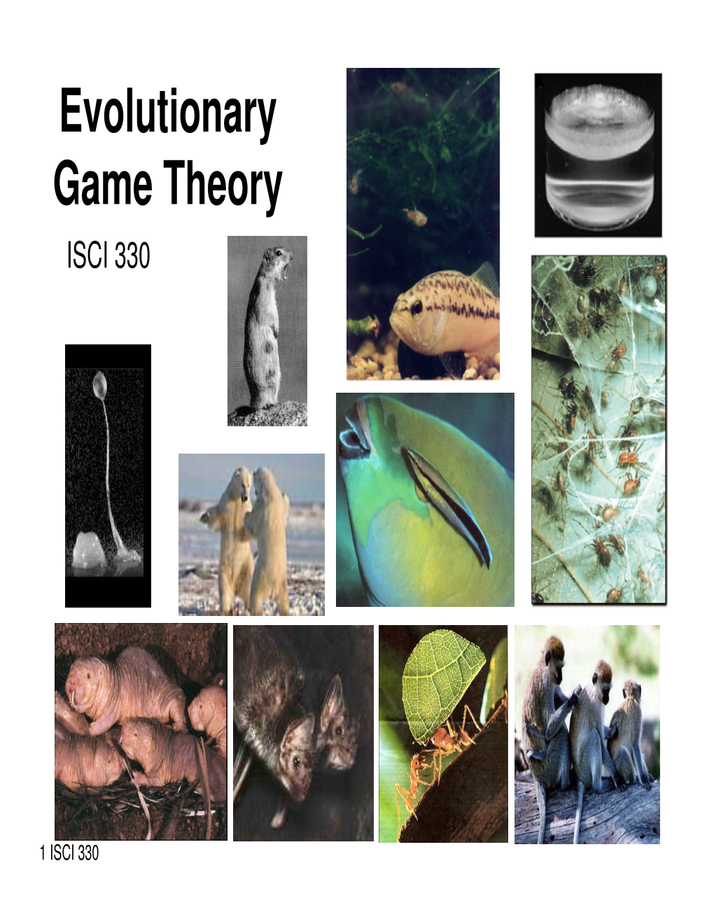 Evolutionary Game Theory ISCI 330