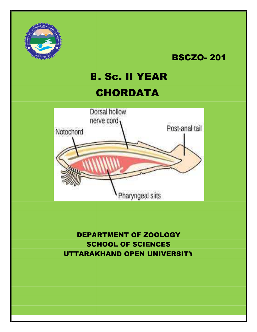 B C . Sc. II YEAR CHORDATA