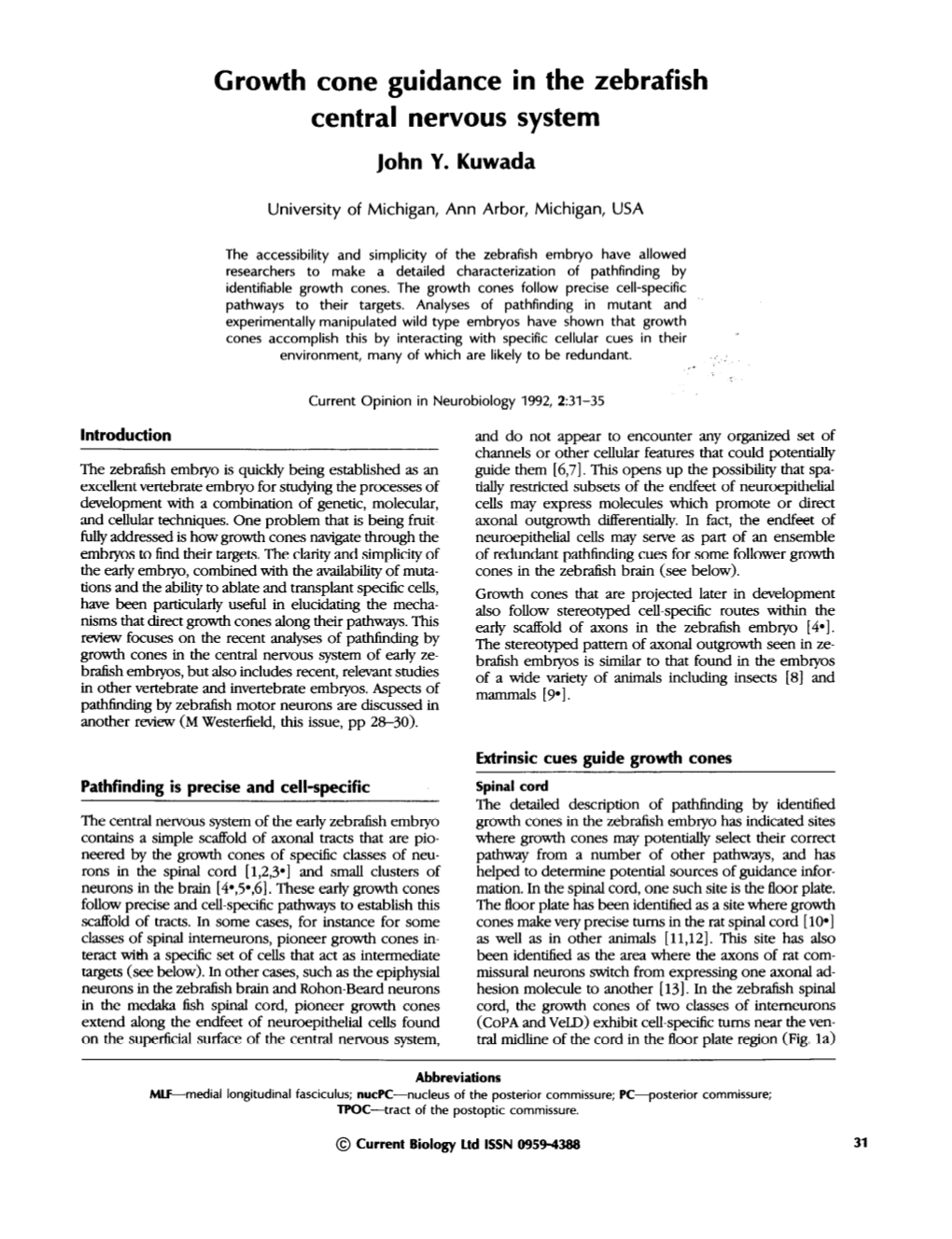 Growth Cone Guidance in the Zebrafish Central Nervous System