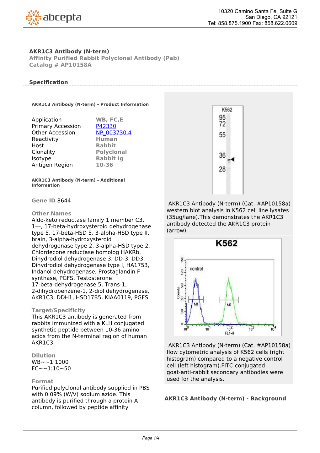 AKR1C3 Antibody (N-Term) Affinity Purified Rabbit Polyclonal Antibody (Pab) Catalog # AP10158A