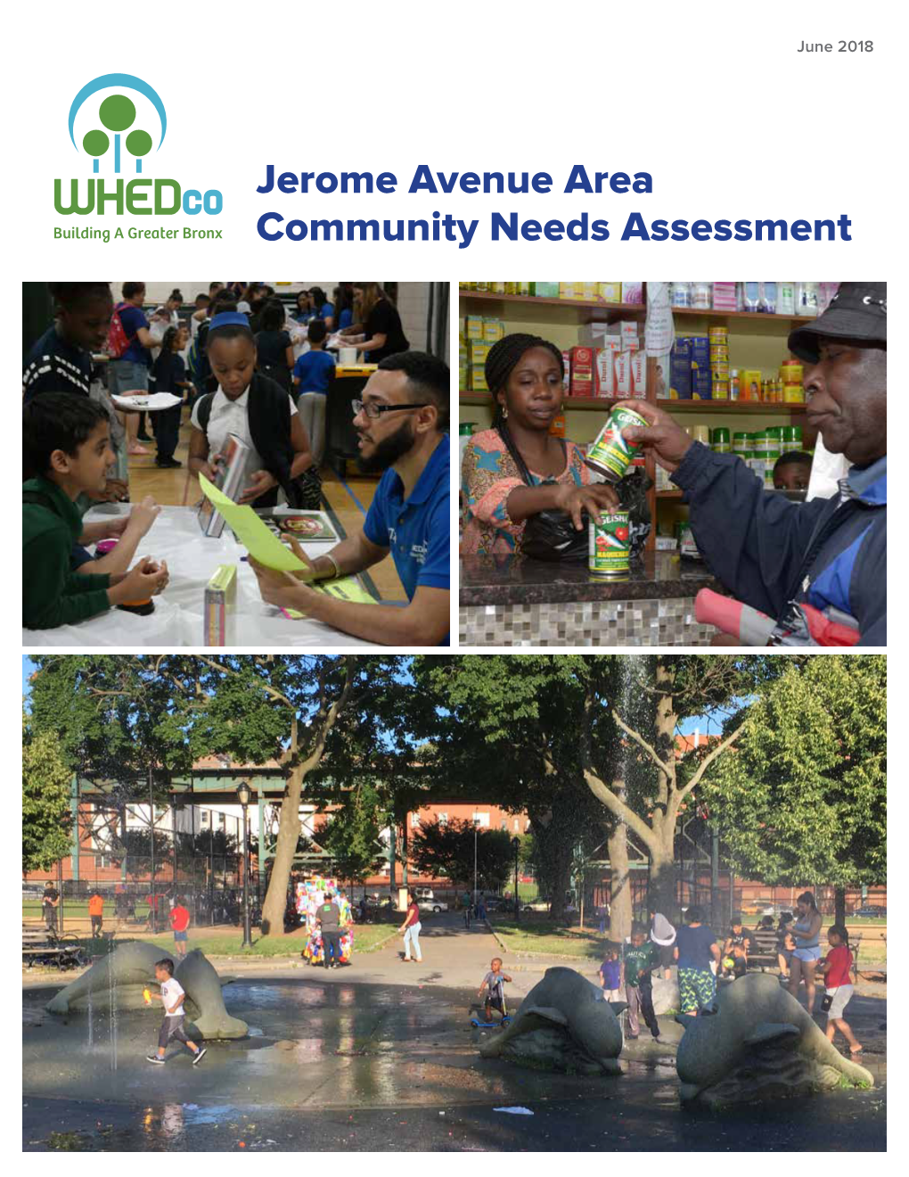 Jerome Avenue Area Community Needs Assessment Contents