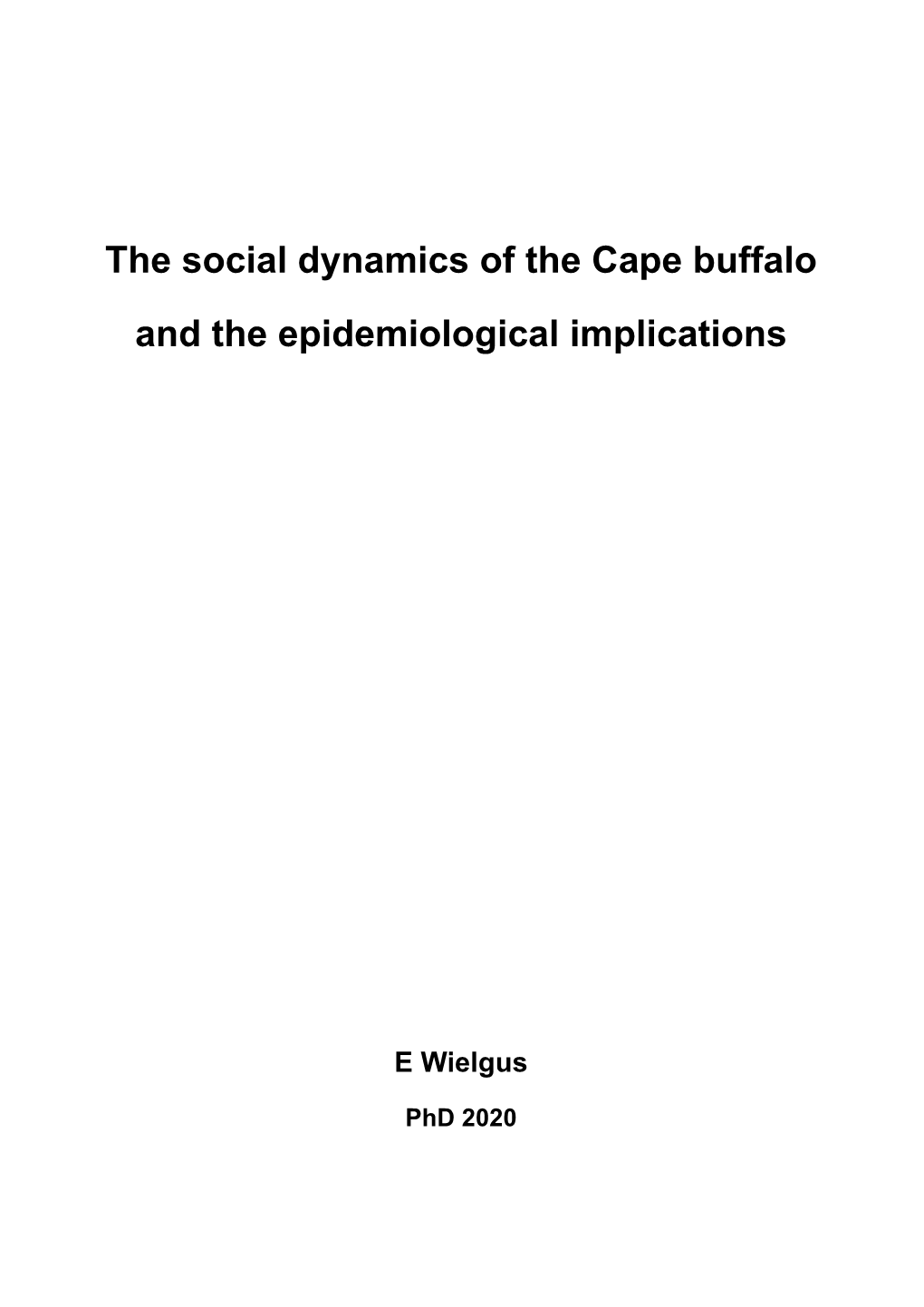 The Social Dynamics of the Cape Buffalo and the Epidemiological Implications