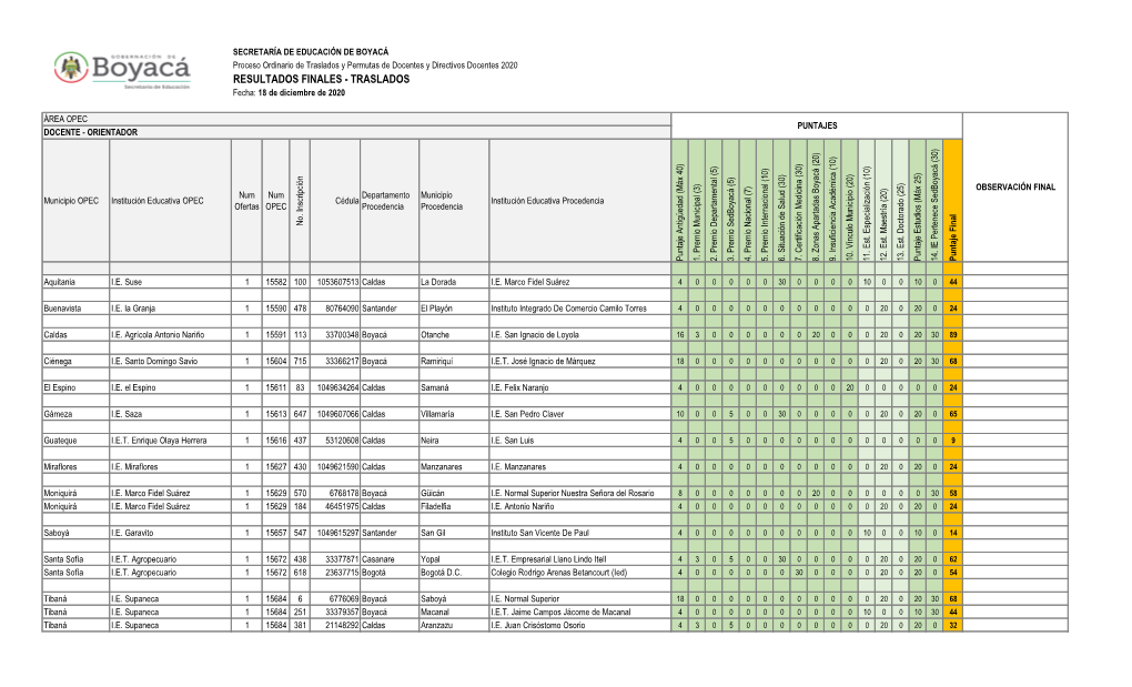 Docente – Orientador