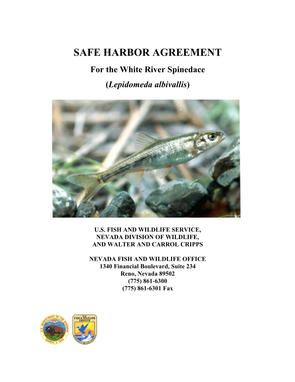 Safe Harbor Agreement for White River Spinedace at Indian Springs