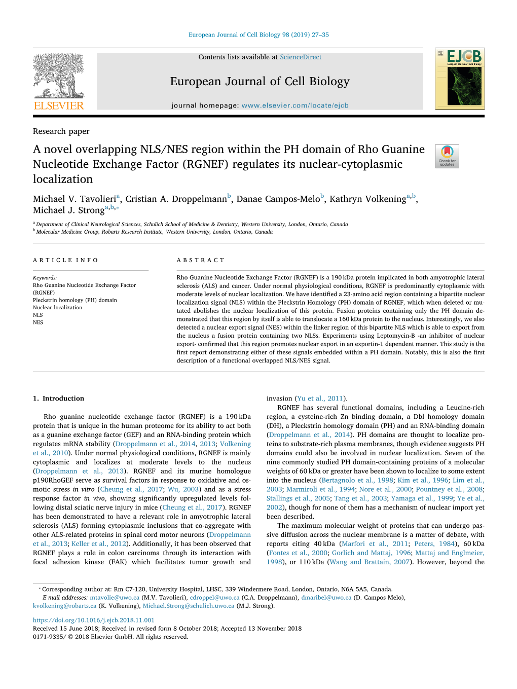 A Novel Overlapping NLS/NES Region Within the PH Domain of Rho Guanine Nucleotide Exchange Factor (RGNEF) Regulates Its Nuclear-Cytoplasmic T Localization