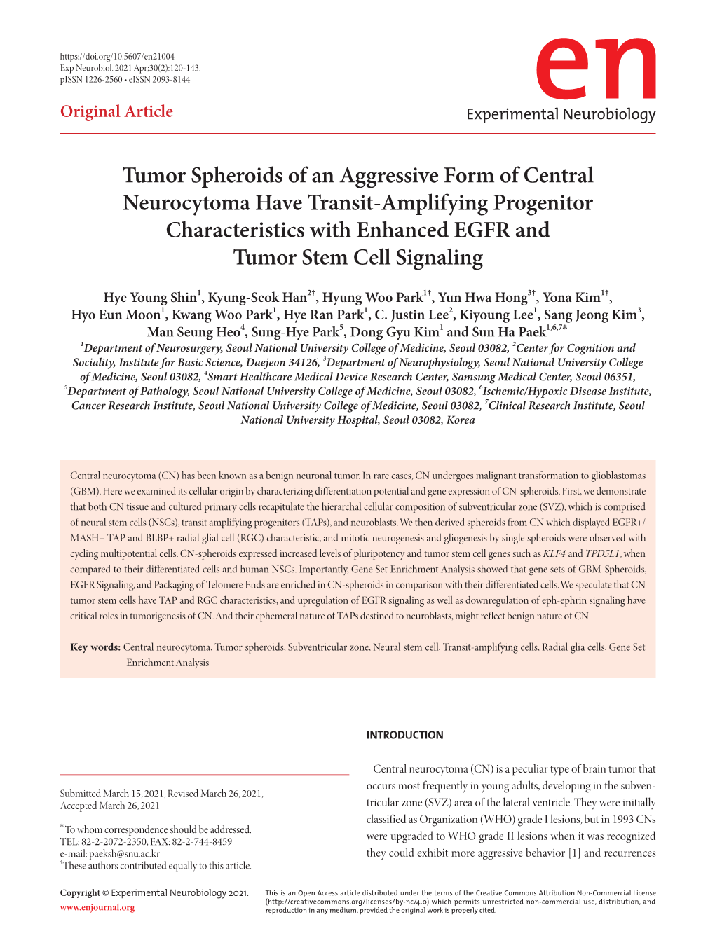 Tumor Spheroids of an Aggressive Form of Central Neurocytoma Have Transit-Amplifying Progenitor Characteristics with Enhanced EGFR and Tumor Stem Cell Signaling