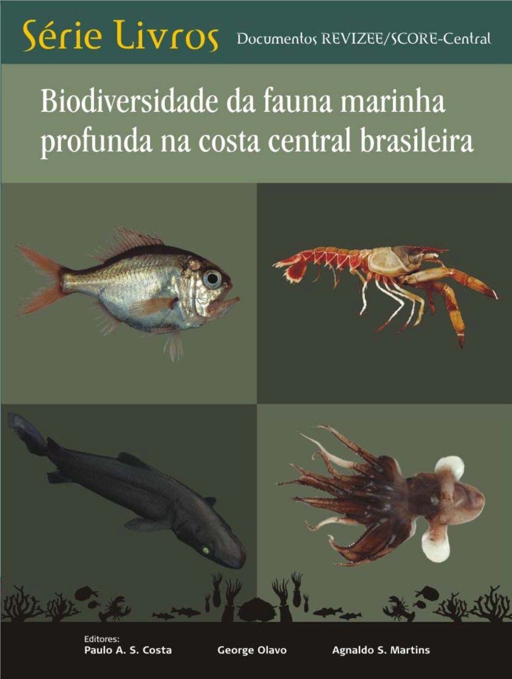 Biodiversidade Da Fauna Marinha Profunda Na Costa Central Brasileira / Editores Paulo A