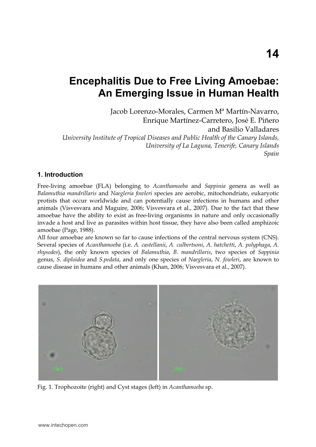 Encephalitis Due to Free Living Amoebae: an Emerging Issue in Human Health
