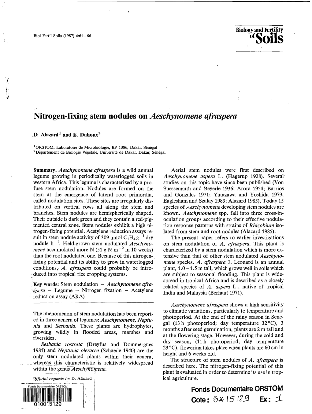 Nitrogen-Fixing Stem Nodules on Aeschynomene Afraspera