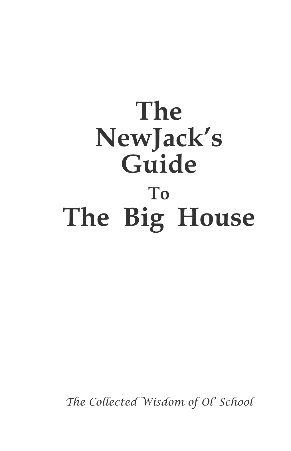 The Newjack's Guide the Big House