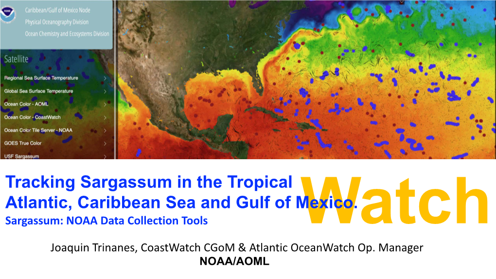 Tracking Sargassum in the Tropical Atlantic, Caribbean Sea and Gulf of Mexico