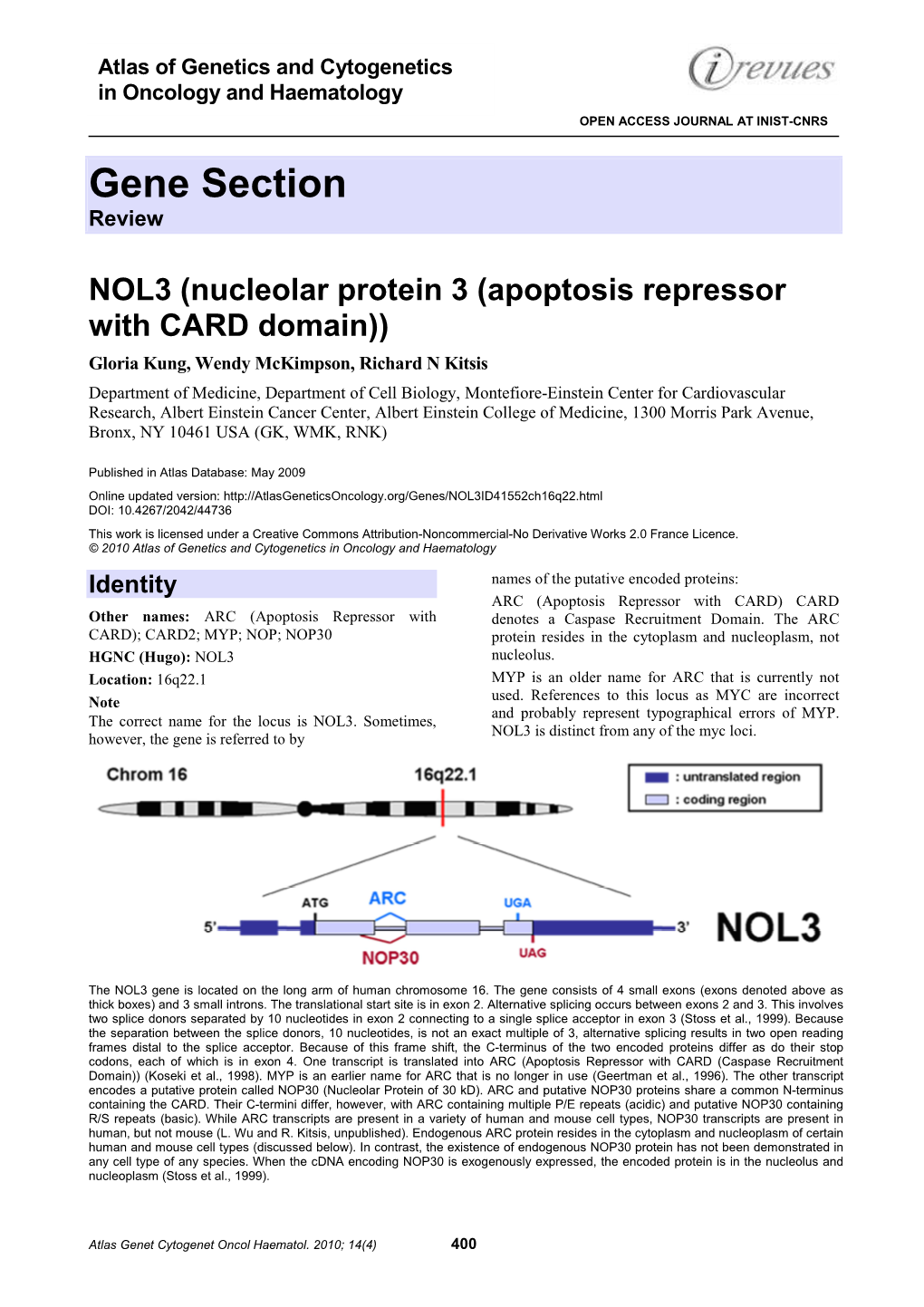 Gene Section Review