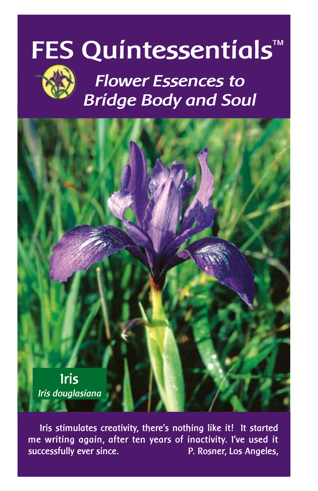 FES Quintessentials™ Flower Essences to Bridge Body and Soul