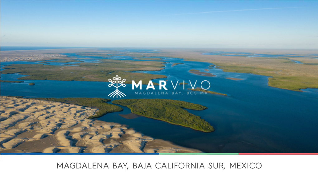 Magdalena Bay, Baja California Sur, Mexico Location