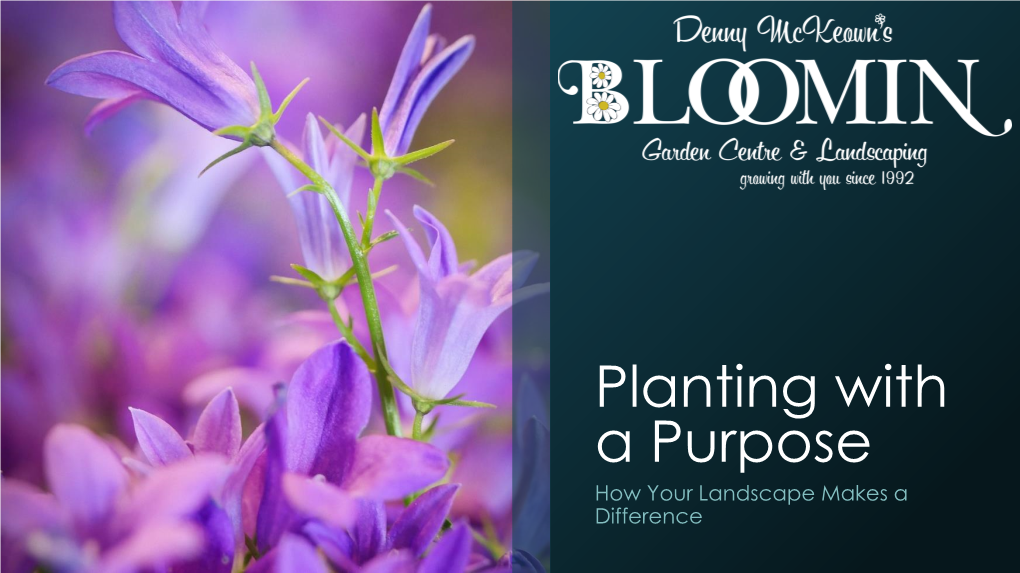 Planting with a Purpose How Your Landscape Makes a Difference Why Should We Care? We Are Part of the Environment