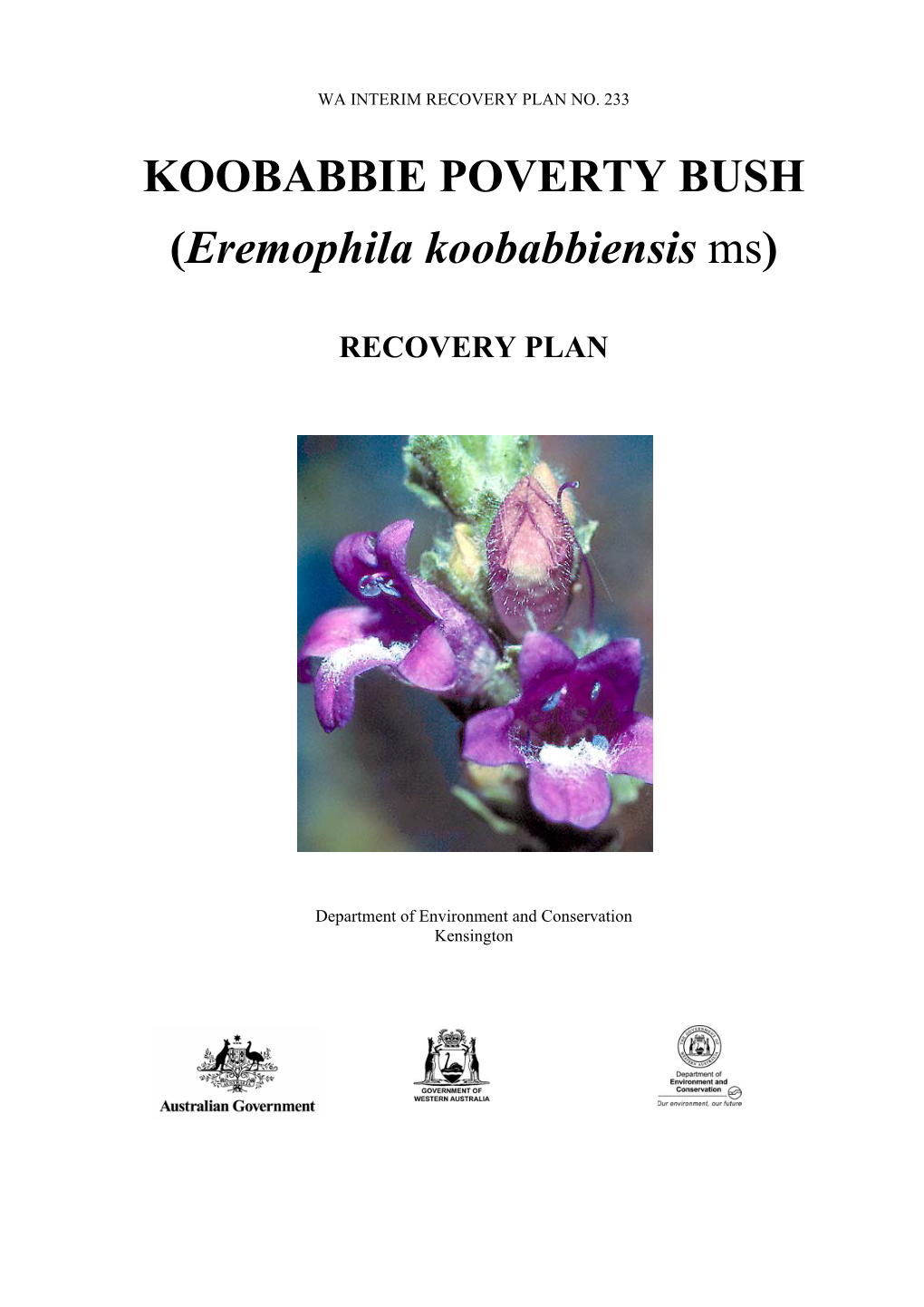 Koobabbie Poverty Bush (Eremophila Koobabbiensis Ms), Interim Recovery Plan 2007-2012