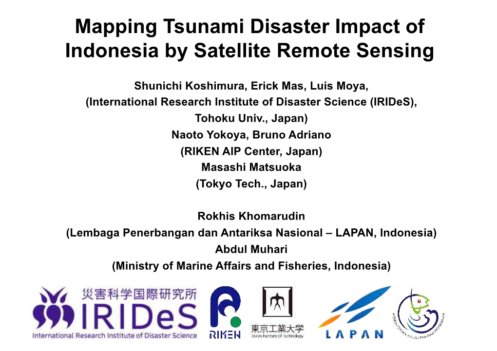Mapping Tsunami Disaster Impact of Indonesia by Satellite Remote Sensing