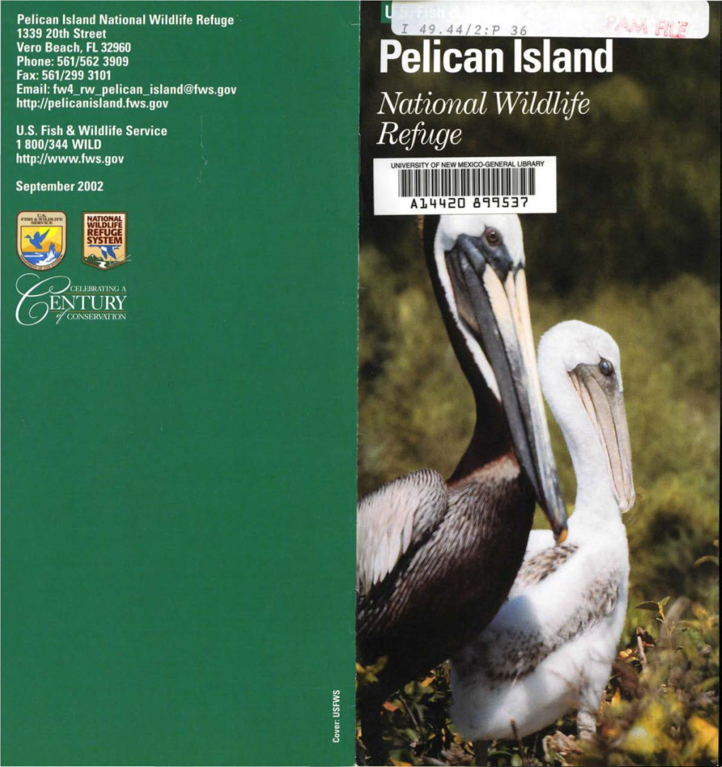 FL Pelican Island NWR 2002 Opt