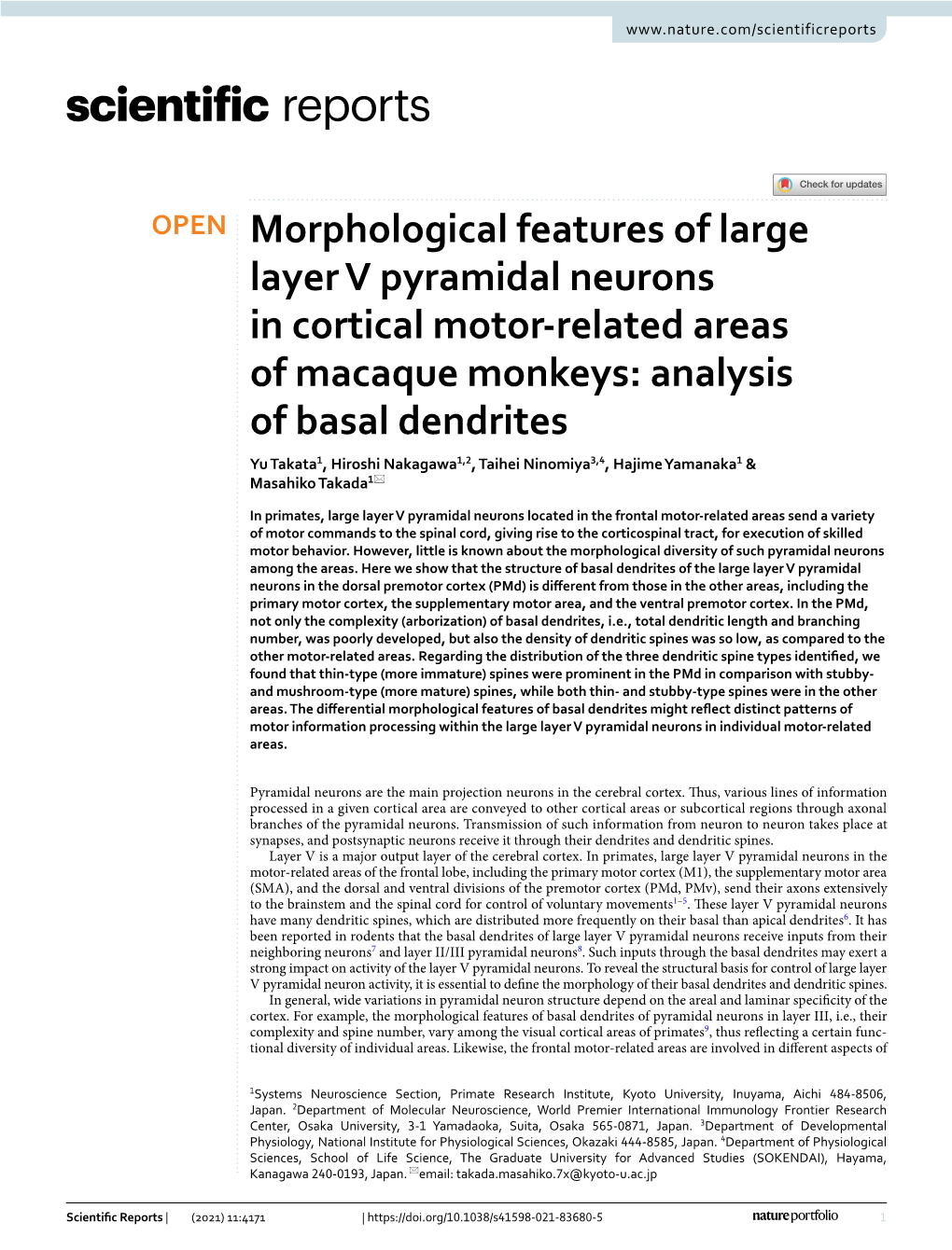 Morphological Features of Large Layer V Pyramidal Neurons In