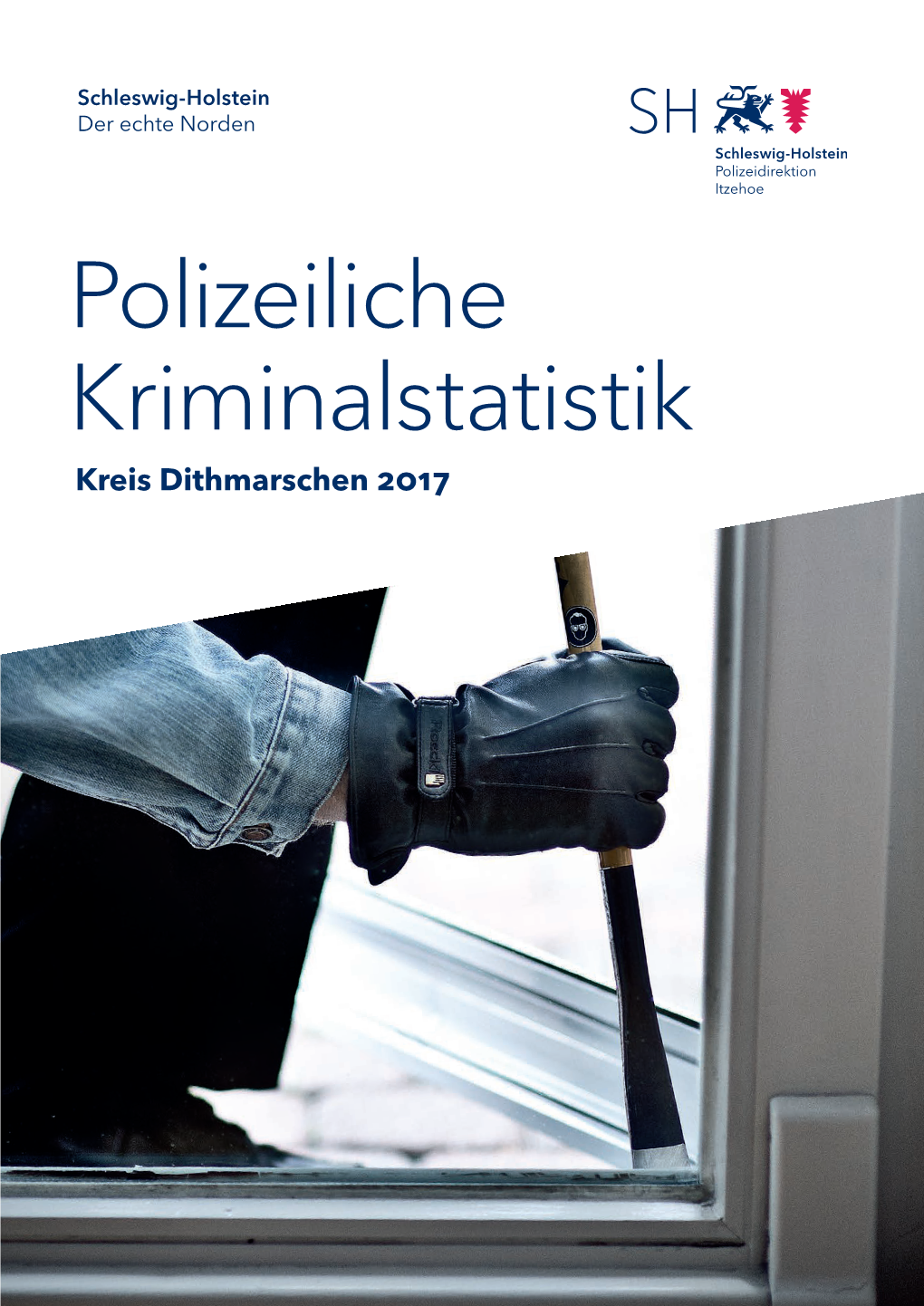 Polizeiliche Kriminalstatistik Kreis Dithmarschen 2017