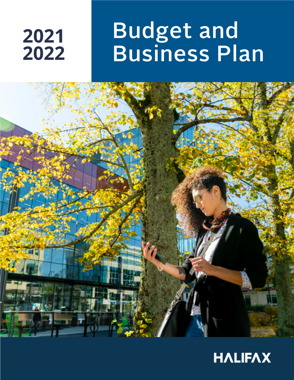 Budget and Business Plan