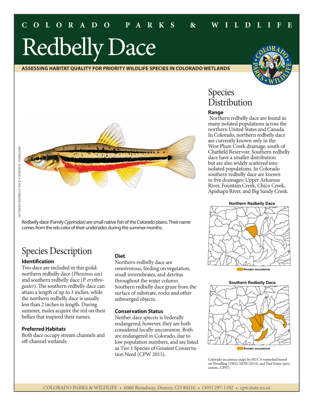 Redbelly Dace ASSESSING HABITAT QUALITY for PRIORITY WILDLIFE SPECIES in COLORADO WETLANDS