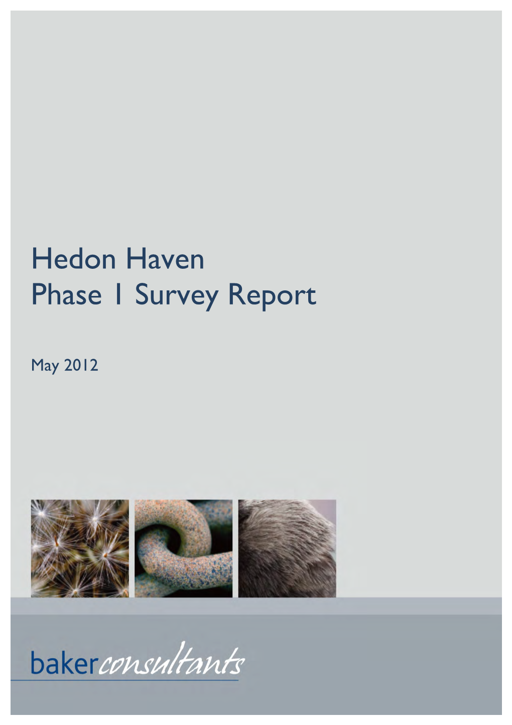 Hedon Haven Phase 1 Survey Report