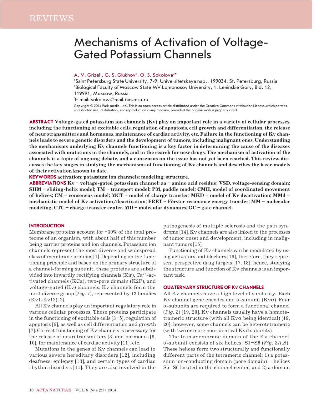 Mechanisms of Activation of Voltage- Gated Potassium Channels